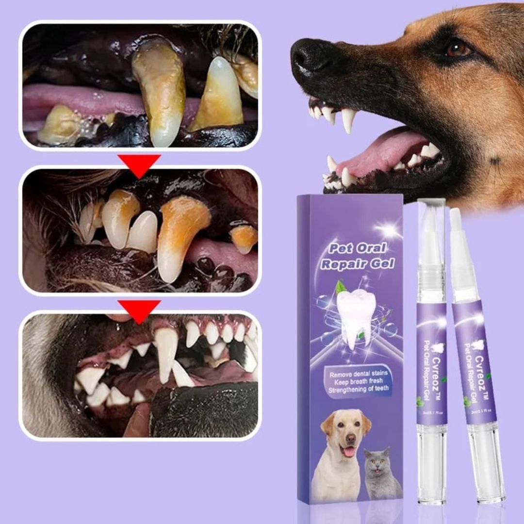 Cuidado Oral Pet – El gel dental que protege la sonrisa de tu mascota sin cepillo ni enjuague
