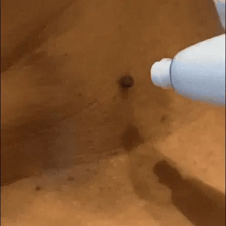 Encabezado