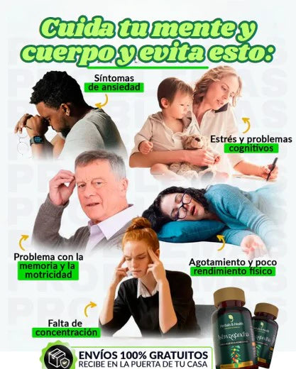 Encabezado