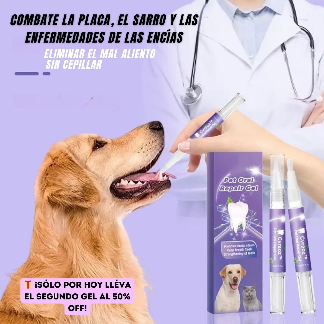 Cuidado Oral Pet – El gel dental que protege la sonrisa de tu mascota sin cepillo ni enjuague
