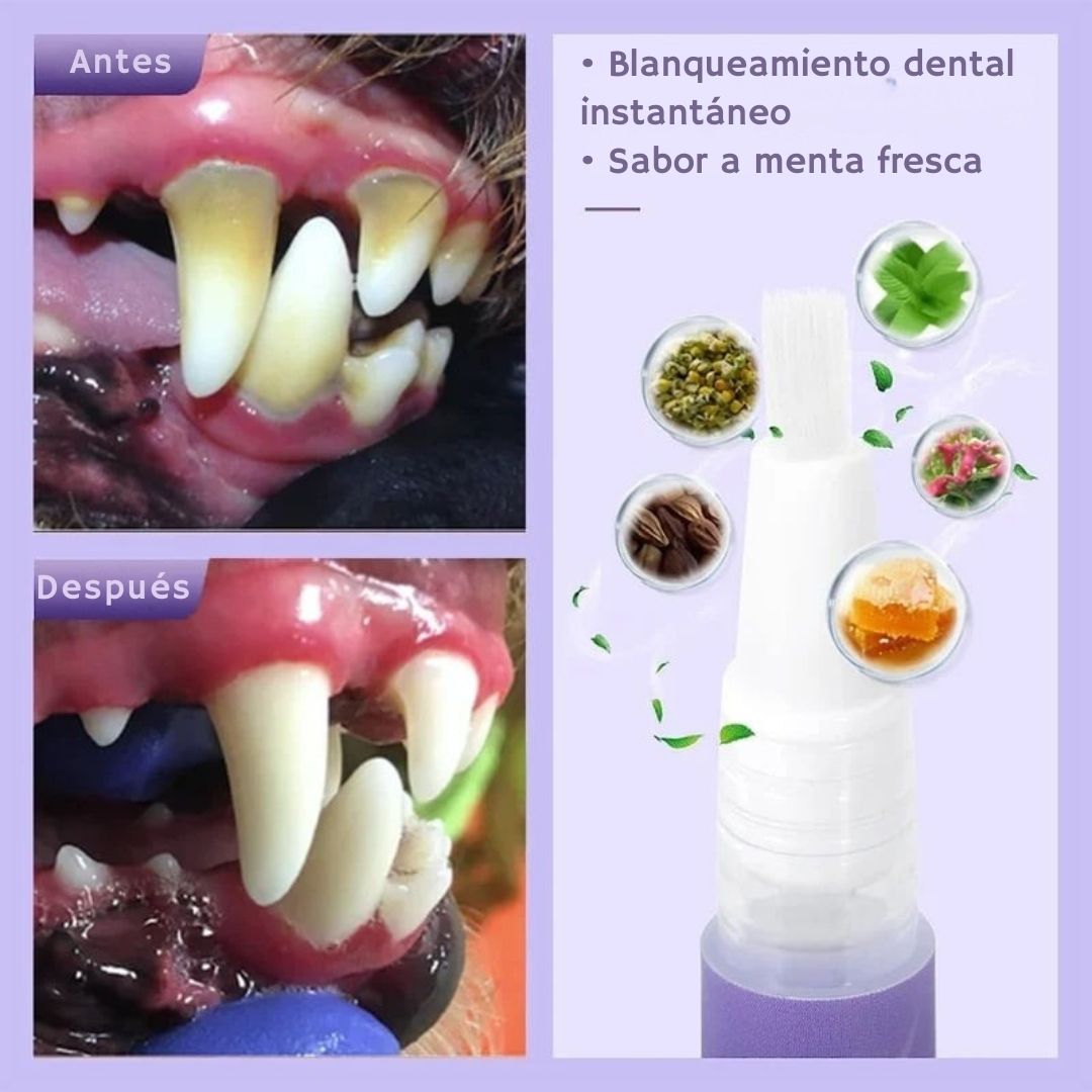 Cuidado Oral Pet – El gel dental que protege la sonrisa de tu mascota sin cepillo ni enjuague