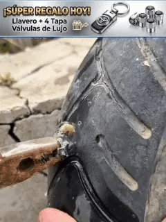 Encabezado