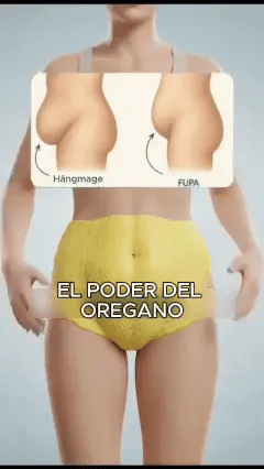 Encabezado