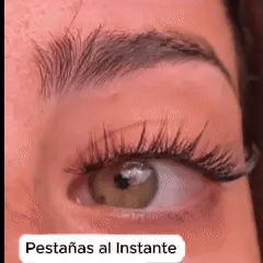 Encabezado