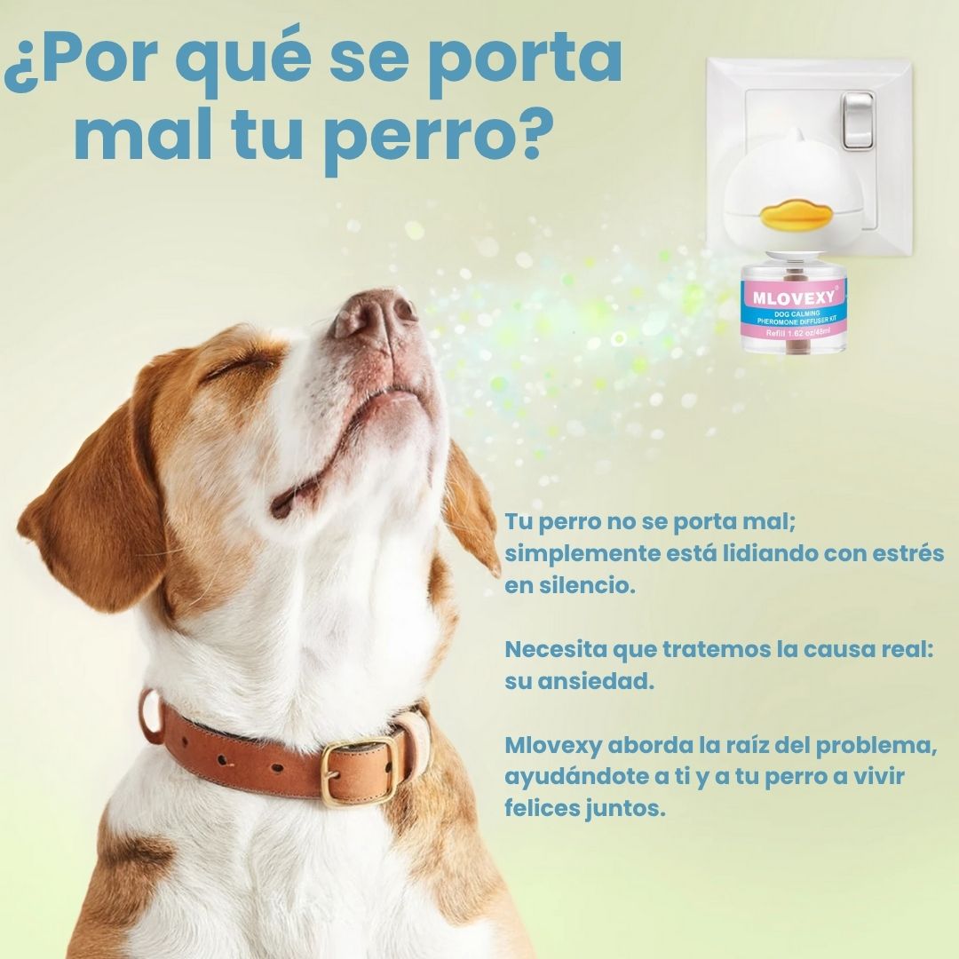 Encabezado