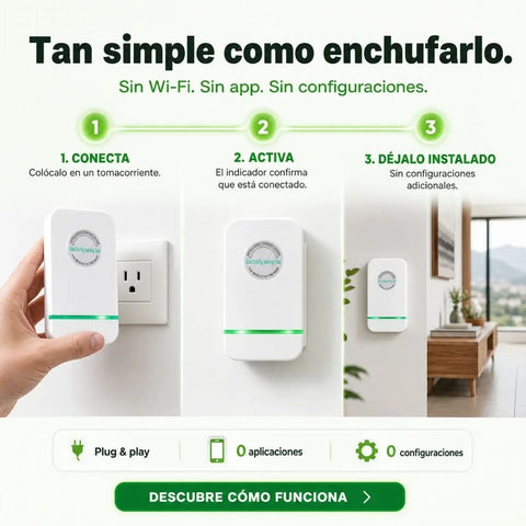 Producto