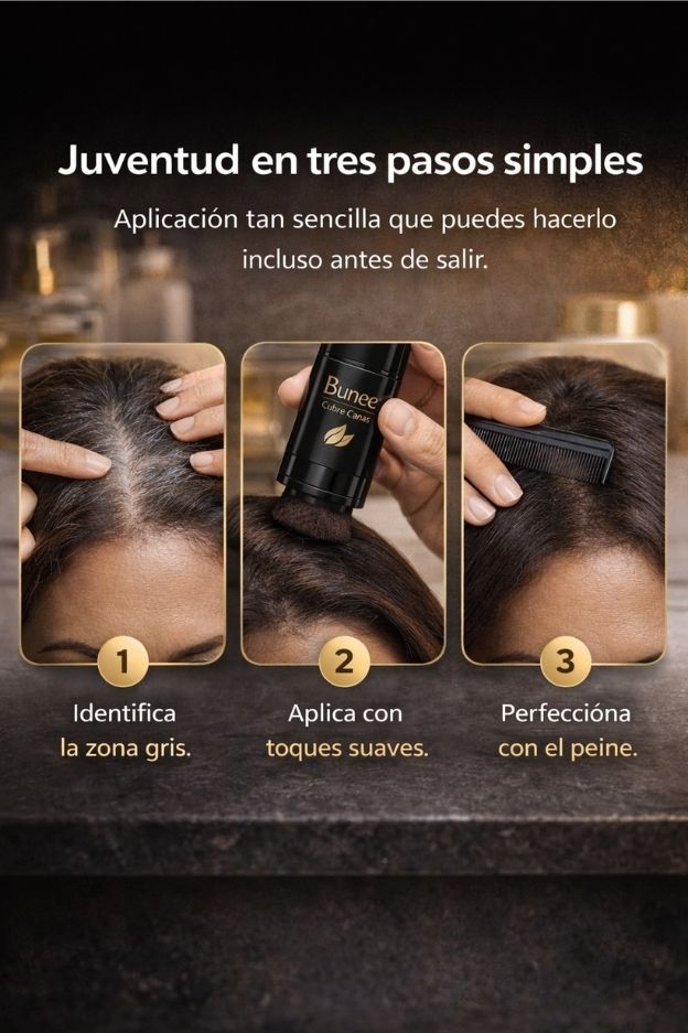 Encabezado