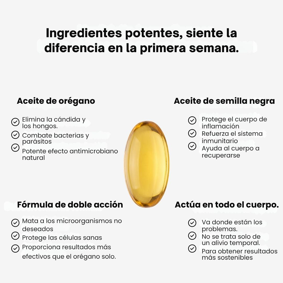 Encabezado