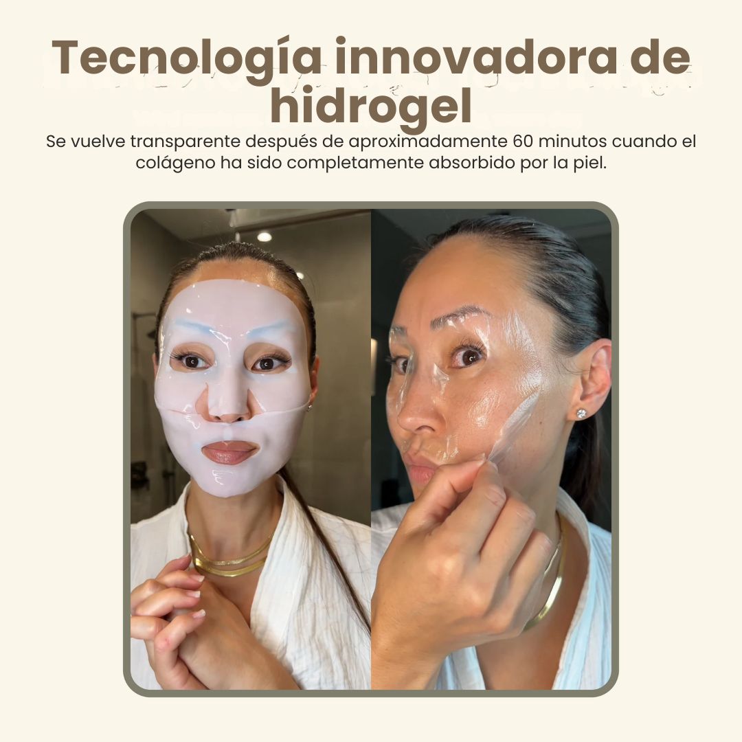 Encabezado