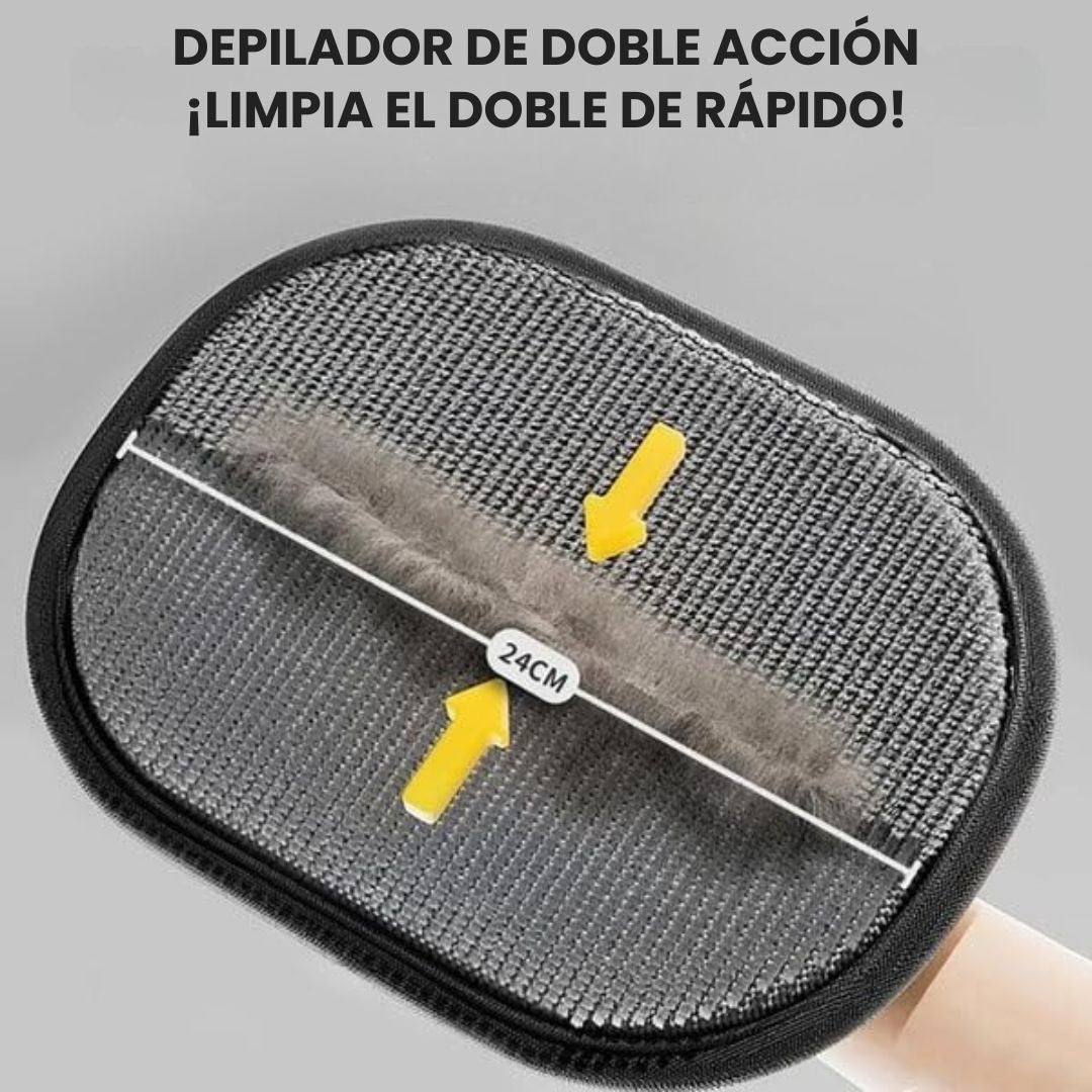Encabezado