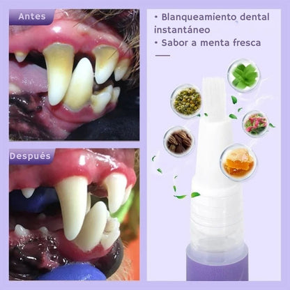 Cuidado Oral Pet – El gel dental que protege la sonrisa de tu mascota sin cepillo ni enjuague