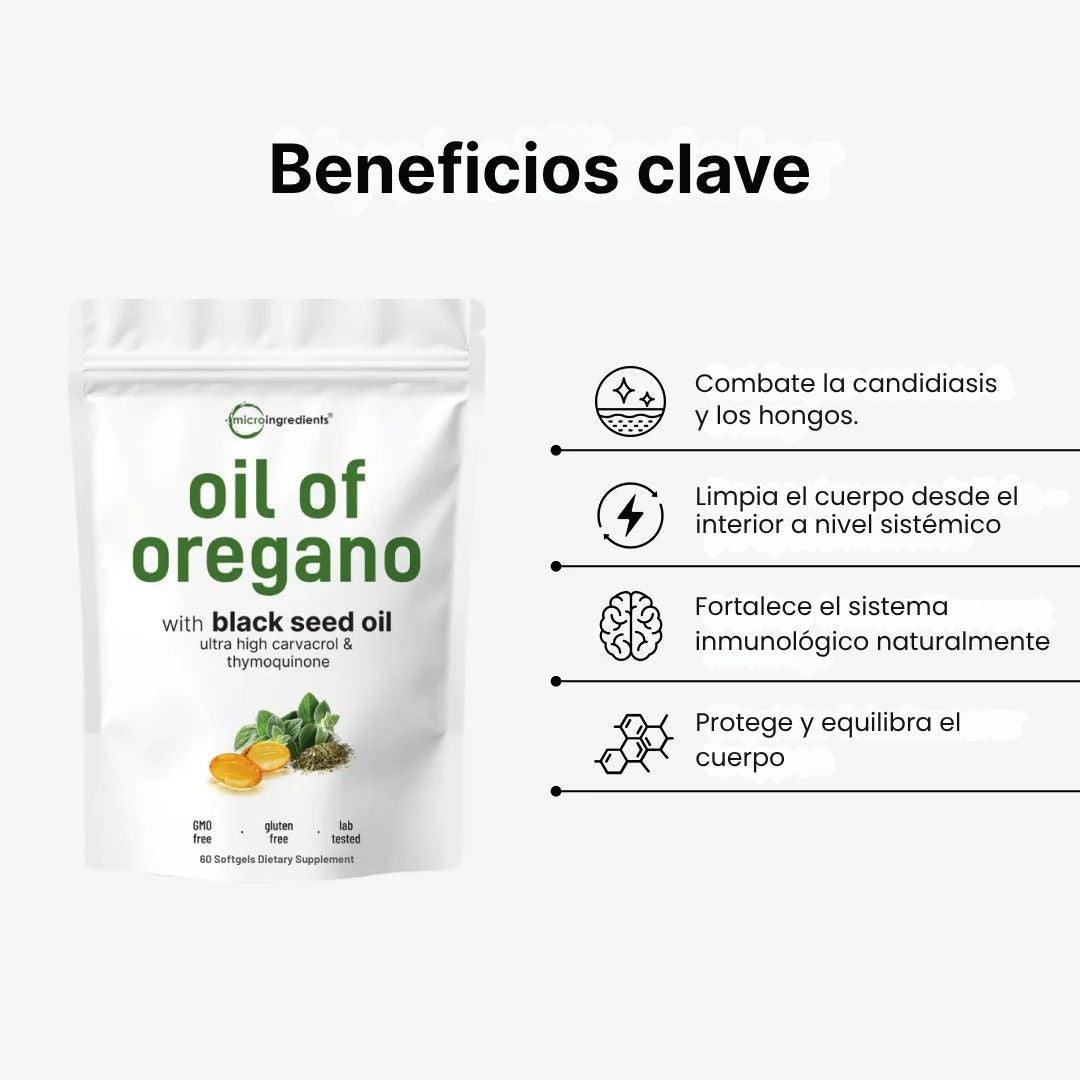 Encabezado