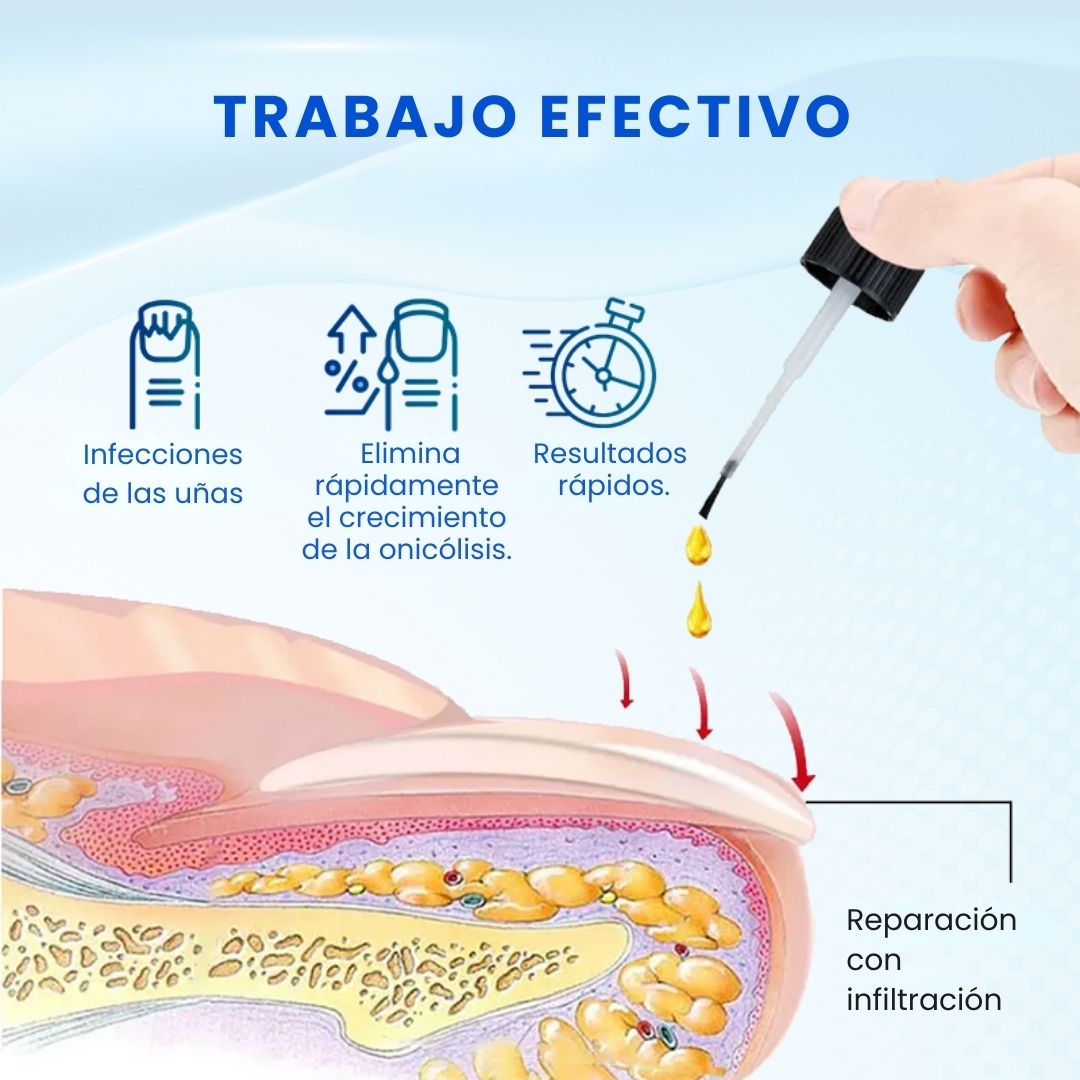 Encabezado
